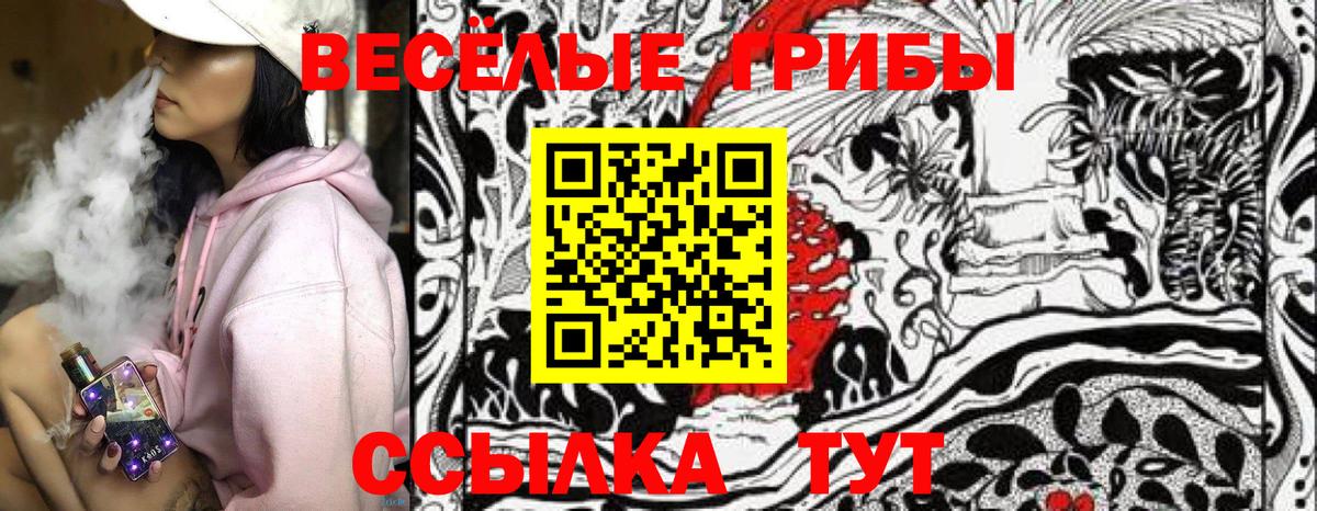 купить наркотик  Галлюциногенные грибы Psilocybe  Вход с VPN  Мурманск 